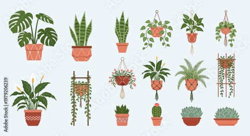 Collection of Potted Houseplants and Hanging Plants in Macrame Hangers