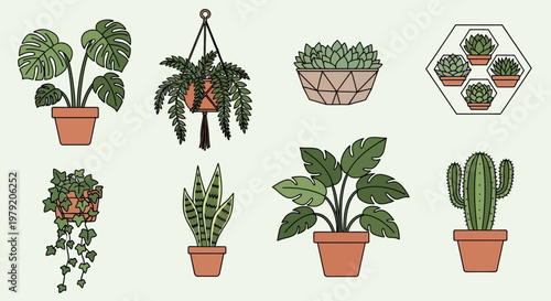 Collection of Potted Houseplants and Succulents, Vector Illustration