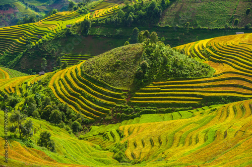 Natural and urban views of Vietnam