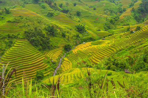 Natural and urban views of Vietnam