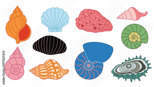 Collection of colorful sea shells of different shapes and sizes including spirals, scallops, and oysters is shown.