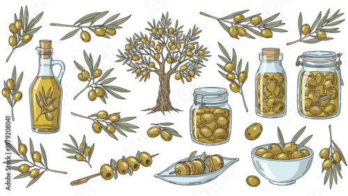 Large collection of olive themed items including an olive tree, branches, jars of pickled olives, and oil bottles.
