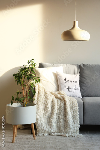 Comfortable sofa and housep...