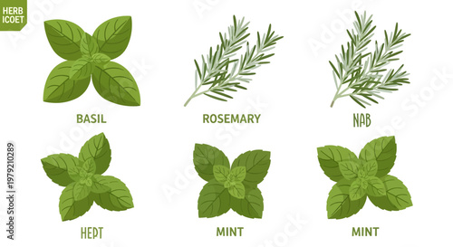 Herbs: Basil, Rosemary, Mint, and Nab - Fresh Culinary Ingredients