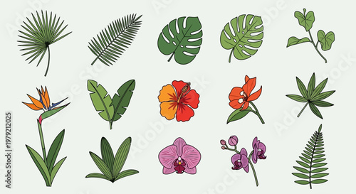 Tropical Leaves and Flowers Collection - Exotic Botanical Illustration