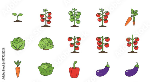 Vegetable Growth Stages and Variety Icons: Tomato, Carrot, Cabbage, Eggplant, Pepper