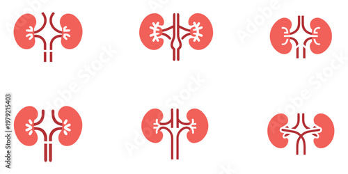 Human kidney vector icon set, nephrology CKD kidney renal stage symbol vector art illustration