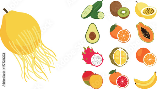 Exotic fruit collection vector illustration set featuring jellyfish fruit avocado citrus banana dragon fruit and tropical produce isolated on white background