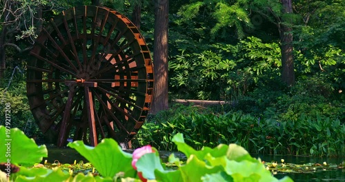 Close-up of a traditional wooden waterwheel operating in a garden pond.