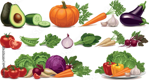 Fresh vegetables collection illustration with pumpkin carrot eggplant cabbage tomato and leafy greens isolated on white background, healthy food vector set