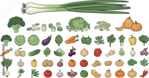 Hand drawn vegetable collection vector set featuring fresh organic produce including broccoli carrot eggplant pepper pumpkin and herbs