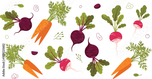 Fresh Beetroot and Carrot Vegetable Set with Leafy Greens and Organic Root Produce for Healthy Cooking Nutrition and Farm Fresh Food Illustration.