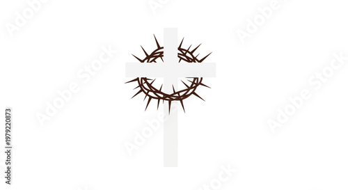 False eyelashes on white background.
