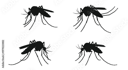 Four mosquito shapes depicted in a stark black silhouette