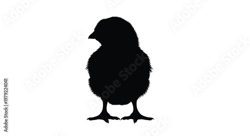 A fluffy baby chick stands prominently in dark silhouette