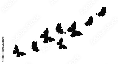 A flight of butterflies beautifully displayed in black silhouette
