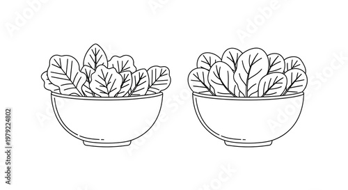 Two bowls filled with leafy greens a simple line drawing illustration