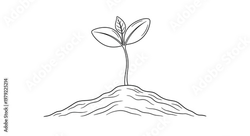 A simple line drawing depicts a young plant sprouting from the soil