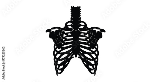 Detailed human ribcage anatomy shown in striking black silhouette