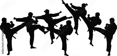 Martial arts fighters silhouette action pose isolated black vector illustration
