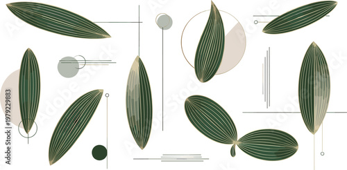 Minimal Botanical Leaves Vector Illustration Set with Abstract Geometric Composition Elegant Nature Design Elements