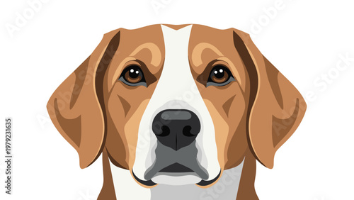 Detailed head portrait of a friendly beagle dog with soulful brown eyes and classic tri color fur markings on its face.