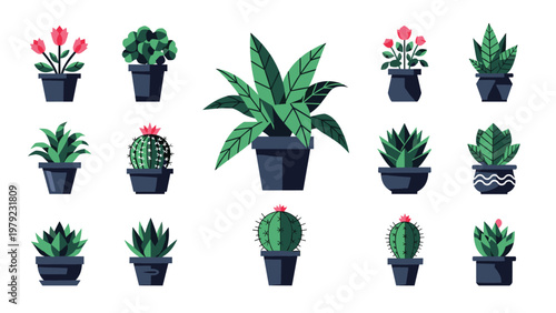 Large collection of various indoor potted plants including leafy shrubs, flowering tulips, and different types of cacti.