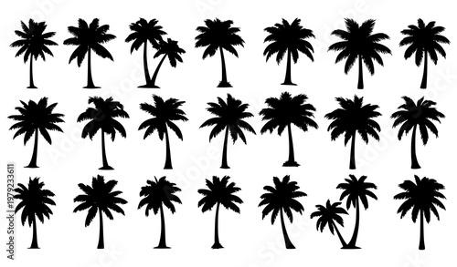 Palm tree silhouettes vector set with tropical coconut trees in black flat style for travel and summer design