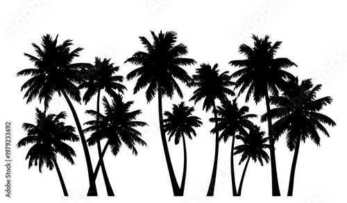 Decorative palm tree silhouette collection vector with tropical trees in dynamic composition