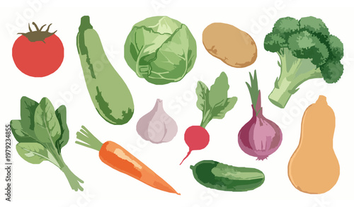 Watercolor vegetables vector collection with fresh produce including tomato, broccoli, carrot, and squash