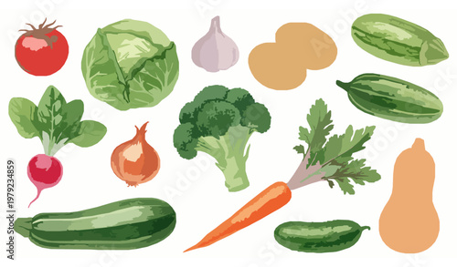 Decorative watercolor vegetables vector set with tomato, cabbage, carrot, and fresh organic produce