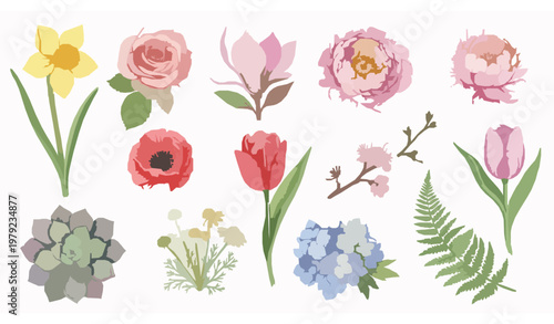 Elegant watercolor floral vector set with daffodil, rose, peony, and succulent for invitations