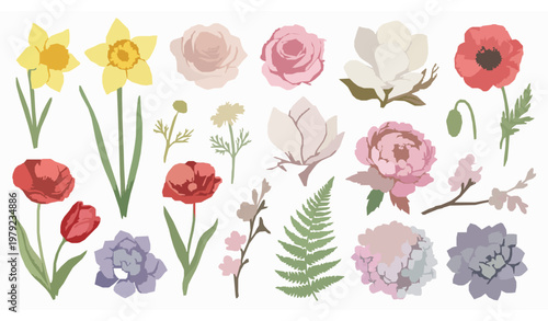 Decorative watercolor floral vector set with peony, rose, tulip, daffodil, and succulent for design