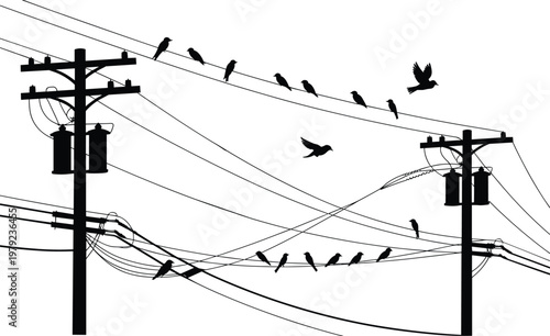 Birds sitting on electric wires and flying around utility poles silhouettes, urban wildlife and electricity infrastructure concept, nature and city interaction isolated on white background