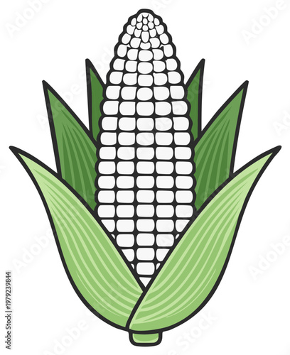 Cartoon illustration of a white corn cob with green leaves