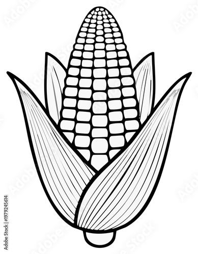 Black and white illustration of a fresh ear of corn with husks