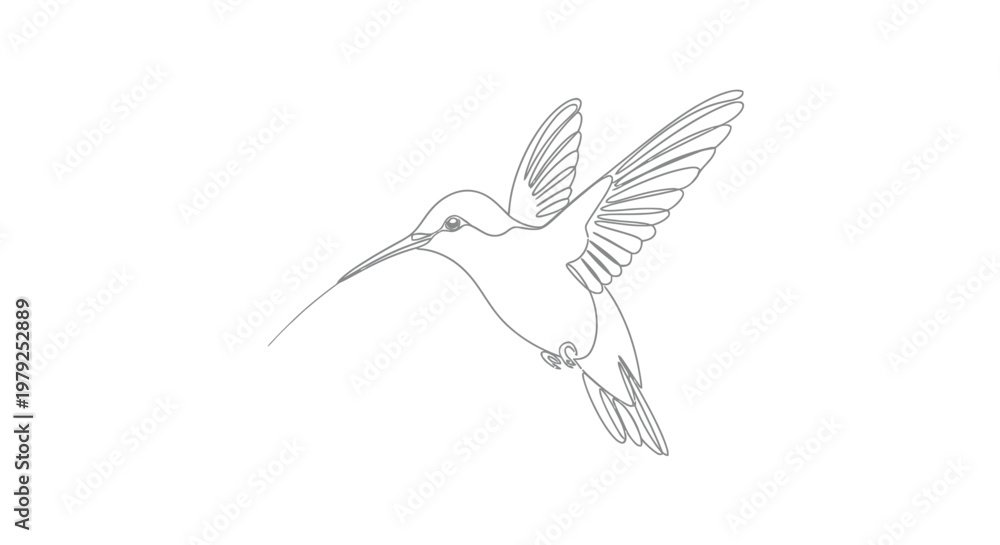 Fototapeta premium Hummingbird outline illustration on white background for creative design projects
