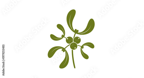 Green leafy plant with rounded lobes.