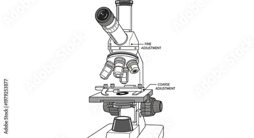 Labeled optical microscope illustration with fine and coarse adjustment