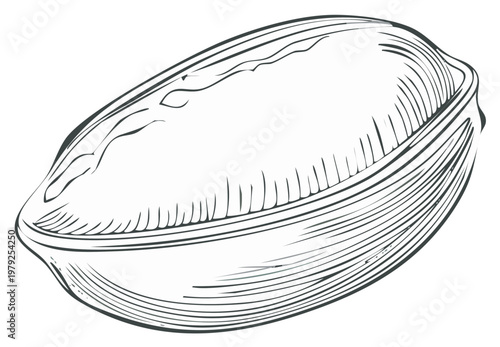 Hand-drawn line art illustration of an oyster shell in profile view