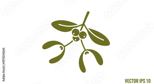 Mistletoe branch with green leaves.