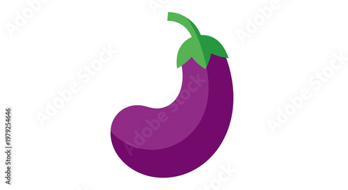 Purple Eggplant Vegetable Illustration.