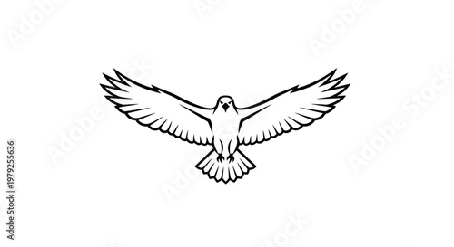 Soaring bird silhouette with outstretched wings isolated on white background