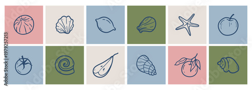 La dolce vita square poster set with fruits, seafood and shells. Hand drawn vector illustration for kitchen decor, restaurants.