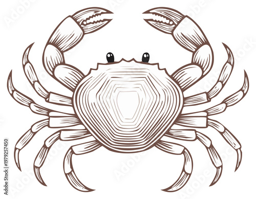 Vector Artwork of a Stylized Crab with Intricate Line Work and Decorative Design