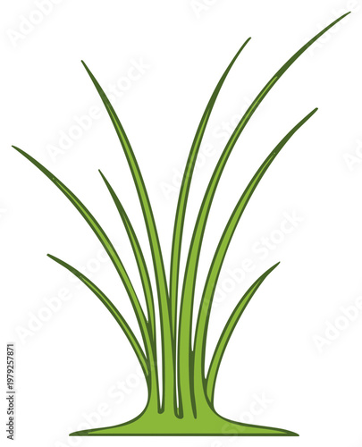 Fresh vibrant green grass blades growing naturally botanical illustration