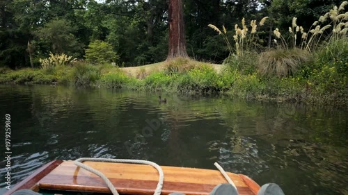 Point Of View Boat Ride Past Grassy Riverbank
