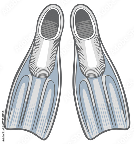 Two blue and gray scuba fins isolated on white for swimming and diving recreation