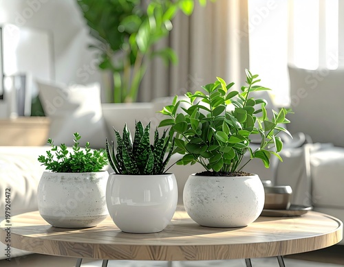 Living room with plants on a coffee table near window