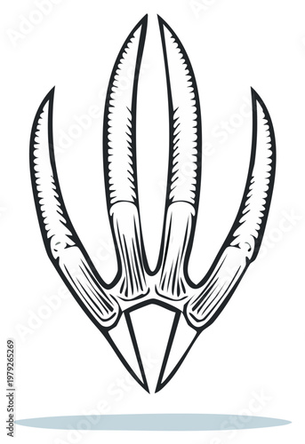 Isolated illustration of a dinosaur footprint, a fossilized claw mark, and a fossilized foot imprint.